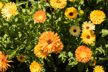 Similar image 21120694