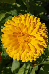 Similar image 21120695