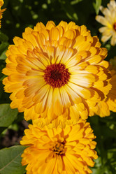 Similar image 21120697