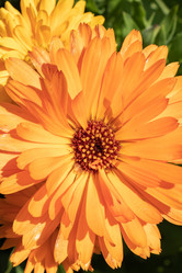 Similar image 21120698