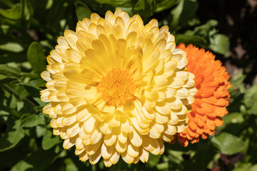 Similar image 21120701