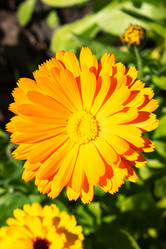 Similar image 21120702