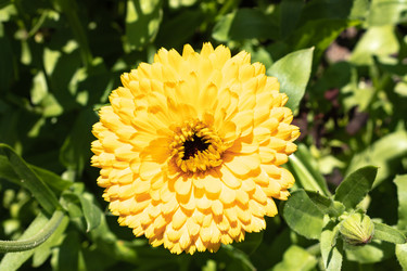 Similar image 21120703