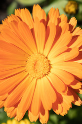 Similar image 21120704