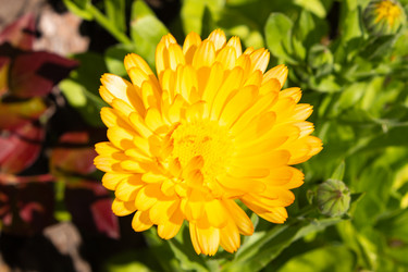 Similar image 21120707