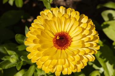 Similar image 21120708