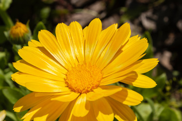 Similar image 21120709