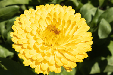 Similar image 21120710