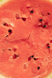 Similar image 21120712