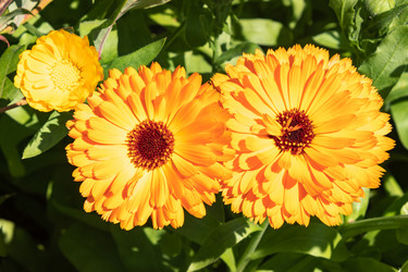 Similar image 21120713