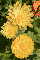 Similar image 21120714