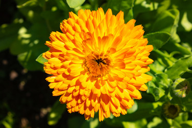 Similar image 21121007