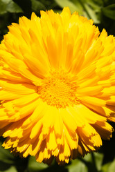 Similar image 21121008