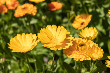 Similar image 21121009