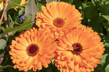 Similar image 21121010