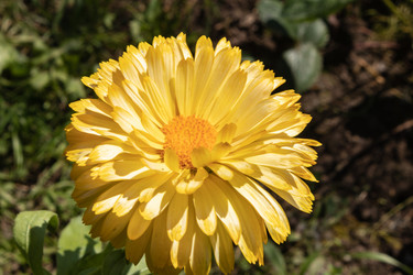 Similar image 21121011