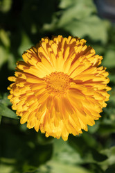 Similar image 21121012