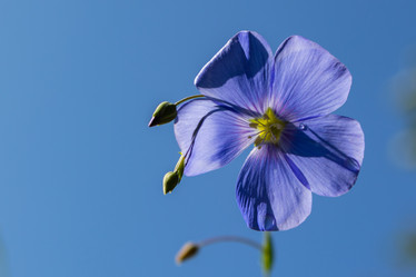 Similar image 21121013