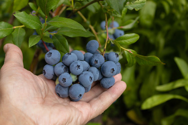 Similar image 21121014