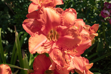 Similar image 21121015