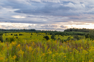 Similar image 21121016