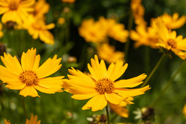 Similar image 21121017