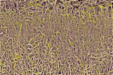 Similar image 21121018