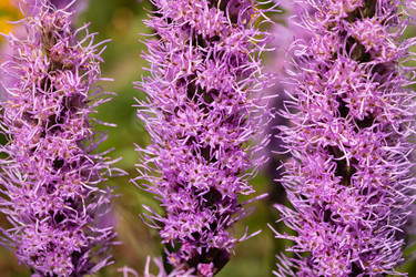 Similar image 21121019