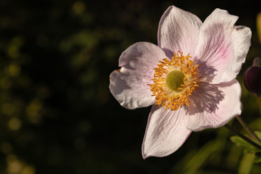 Similar image 21121020