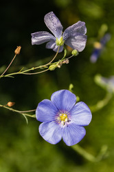 Similar image 21121021