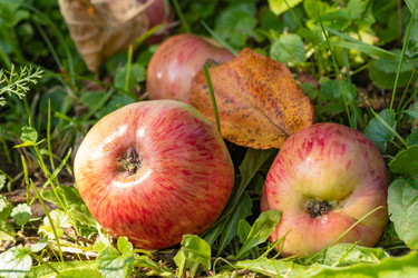 Similar image 21121023