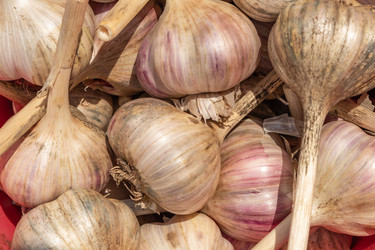 Similar image 21121024