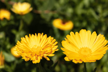 Similar image 21121026