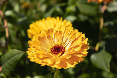 Similar image 21121027