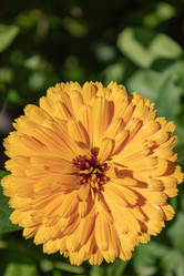 Similar image 21121029