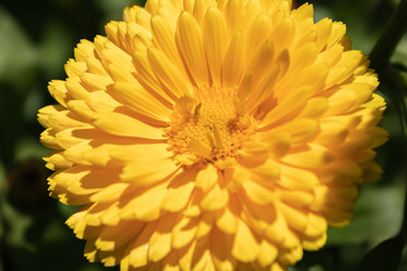 Similar image 21121030