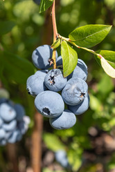 Similar image 21121031