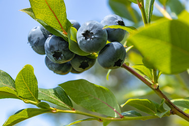 Similar image 21121032