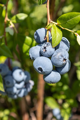 Similar image 21121037