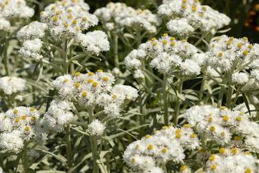 Similar image 21121038