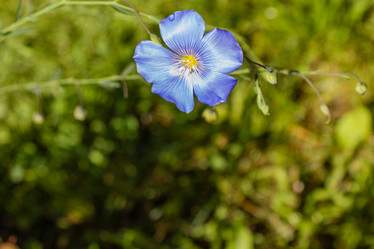 Similar image 21121041