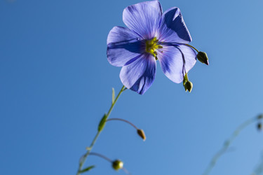 Similar image 21121042