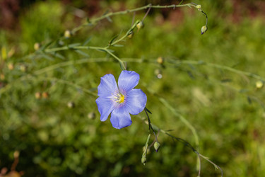 Similar image 21121043