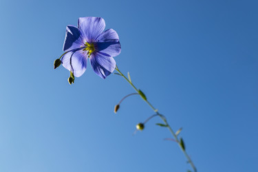 Similar image 21121044