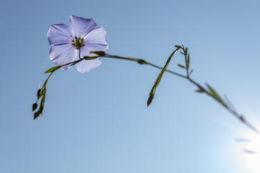 Similar image 21121045