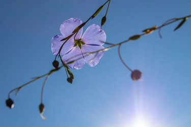 Similar image 21121047