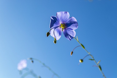 Similar image 21121048