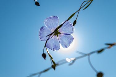 Similar image 21121049