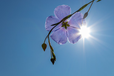 Similar image 21121050