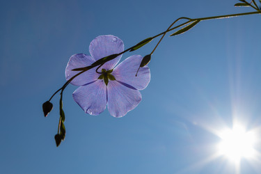 Similar image 21121051